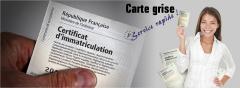 Carte grise - Relais du Bocage
